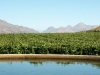 IMG_1177 adjusted.jpg
